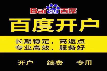 搜索引擎推广的佼佼者——百度搜索推广案例